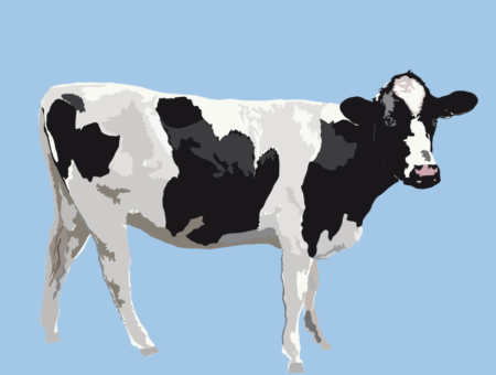 Illustration Vache Viltain